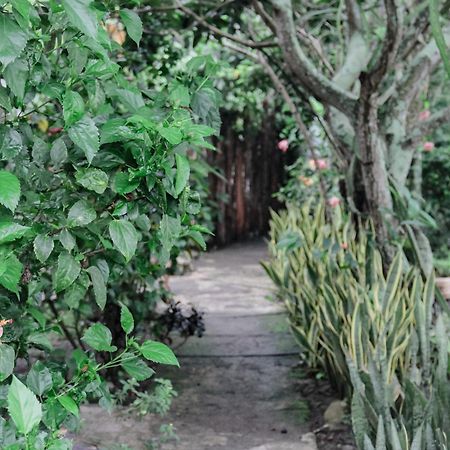 Tiara Homestay Plambi Exterior foto